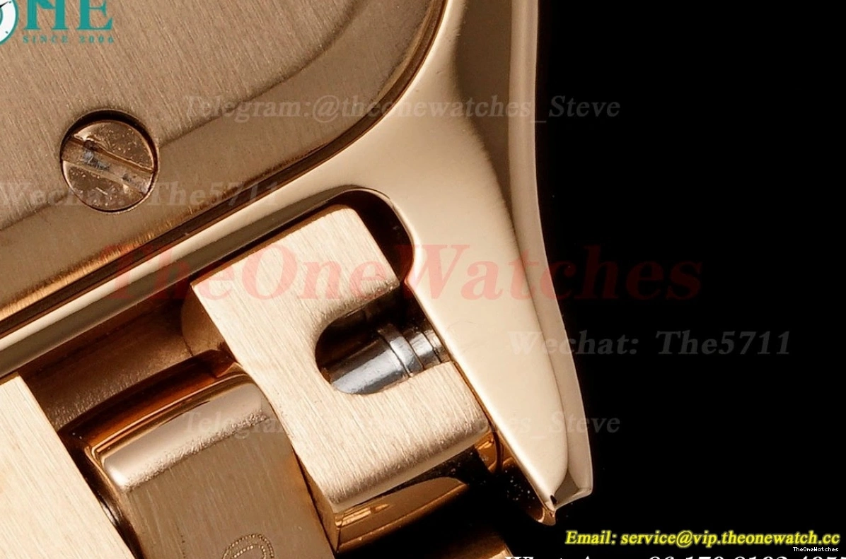 Secrete RG Ladies De RG Quartz Panthere Dial AF 27mm Mop 0123